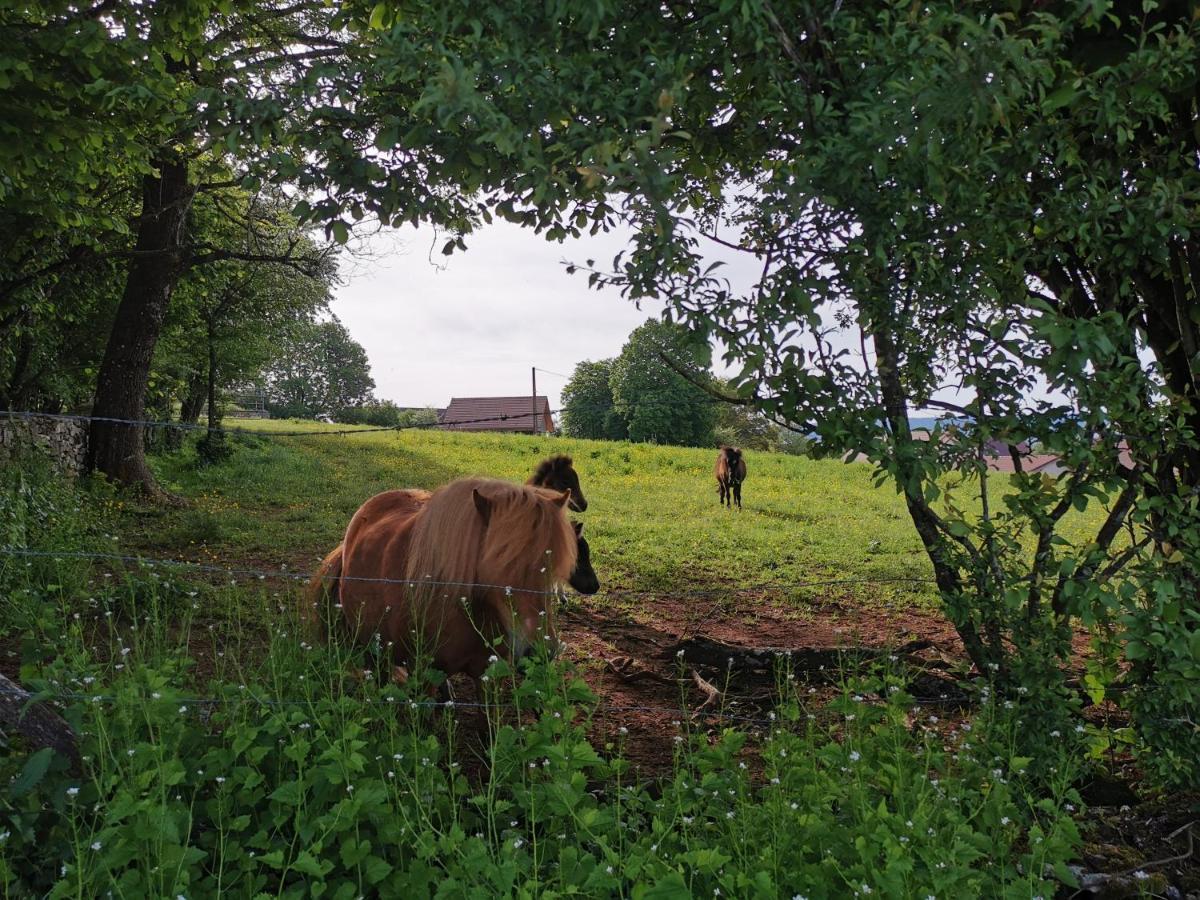 Gite Du Colombier Le Fied Экстерьер фото