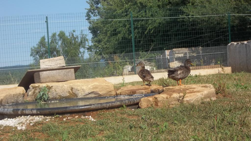 Gite Du Colombier Le Fied Экстерьер фото
