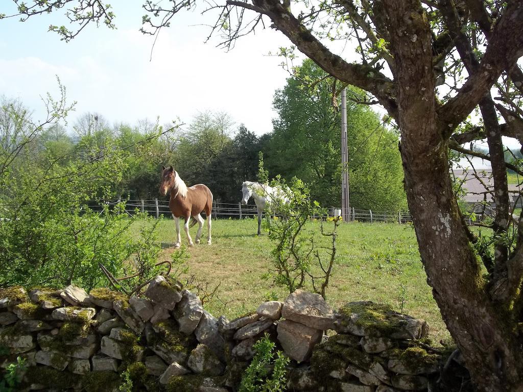 Gite Du Colombier Le Fied Экстерьер фото